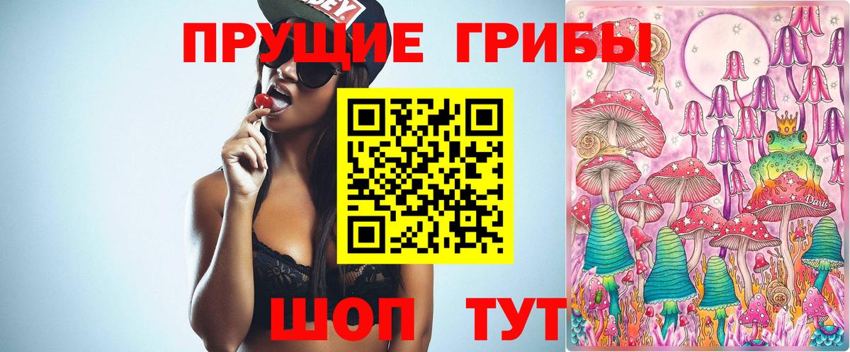 Галлюциногенные грибы Psilocybine cubensis Вязьма